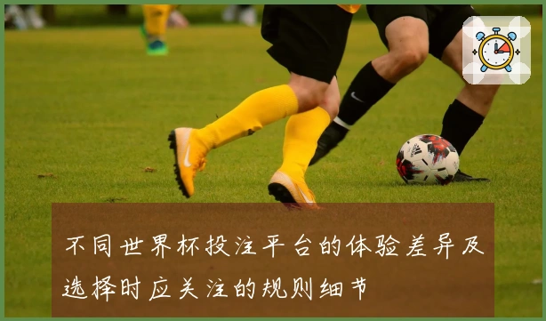 不同世界杯投注平台的体验差异及选择时应关注的规则细节