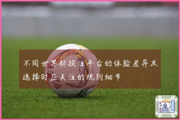 不同世界杯投注平台的体验差异及选择时应关注的规则细节